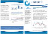 Boletim_RAIS_2013.pdf.jpg
